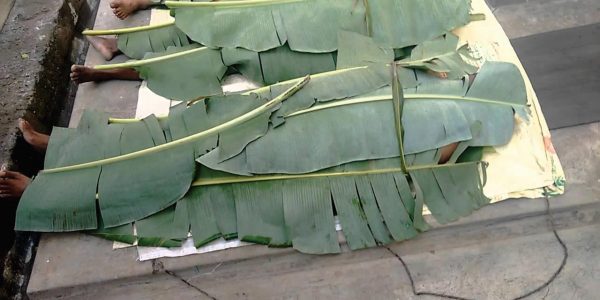 banana leaf