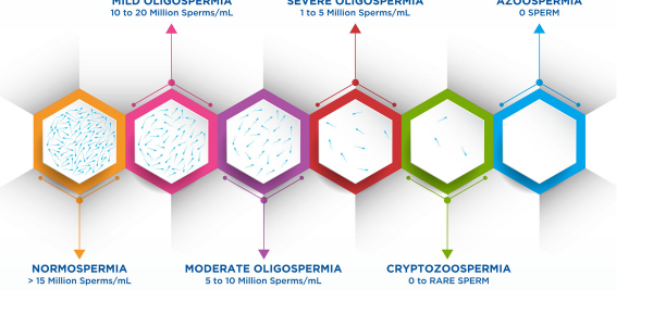 oligospermia